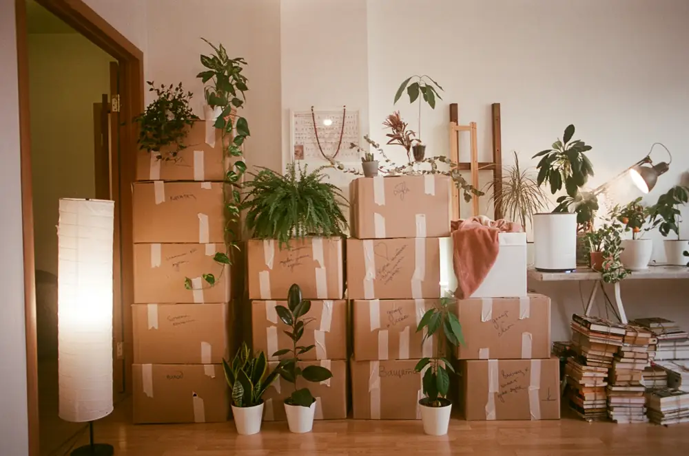 Gestapelde verhuisdozen en planten in een woonkamer